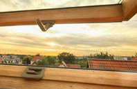 rated Portinnisherrich roof window companies